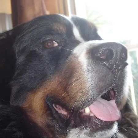 Hotel Le Christina 3*