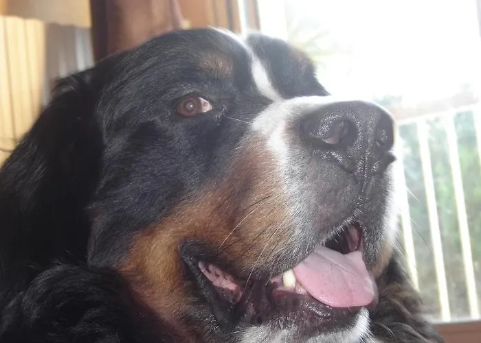 Hotel Le Christina 3*